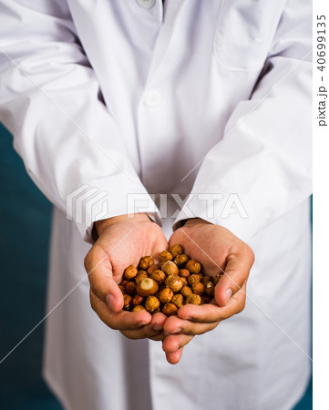 Doctor holding hazelnuts close up 40699135