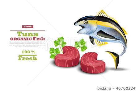 Fresh Tuna Fish Vector Organic Tuna Steak Meatのイラスト素材