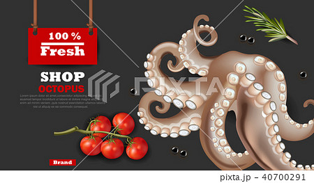 Fresh octopus banner Vector realistic. 3d detailed 40700291