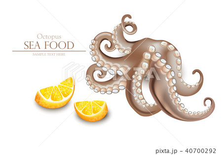Octopus Vector realistic isolated on white Octopus Vector realistic isolated on white 40700292