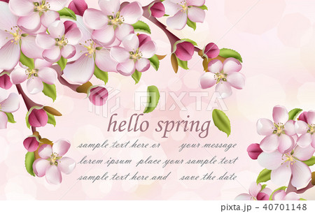 Cherry flowers Spring background Vector 40701148