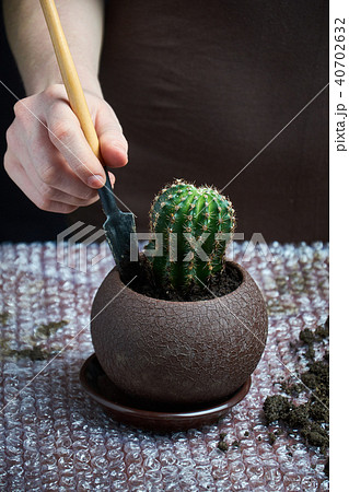 Shot of young woman holding a cactus potted plant Shot of young woman holding a cactus potted plant 40702632