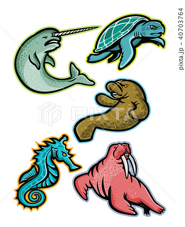 Aquatic Animals and Marine Mammals Collection Aquatic Animals and Marine Mammals Collection 40703764