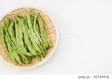 ヒラサヤインゲン 40704056