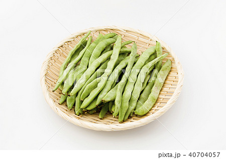 ヒラサヤインゲン 40704057