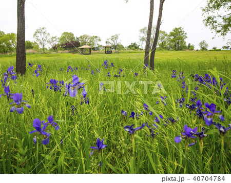 上岩洞 麻浦区 マポグ 40704784