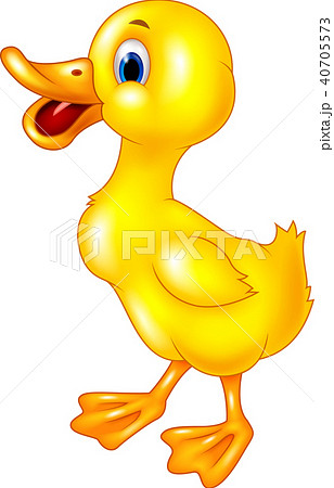 Cute Baby Duck On White Backgroundのイラスト素材