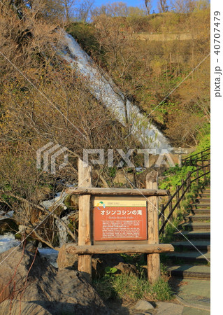 オシンコシンの滝・知床（春） 40707479