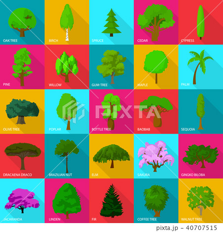 Tree types icons set, flat style 40707515