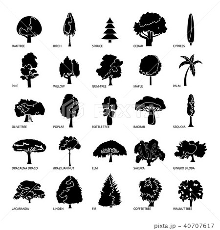 Tree types icons set, simple style Tree types icons set, simple style 40707617
