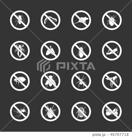No insect sign icons set grey vector No insect sign icons set grey vector 40707718