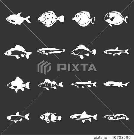 Cute fish icons set grey vector Cute fish icons set grey vector 40708396