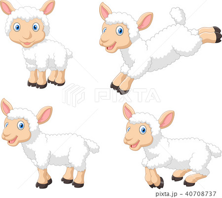Cute cartoon sheep collection set, isolated on whi Cute cartoon sheep collection set, isolated on whi 40708737