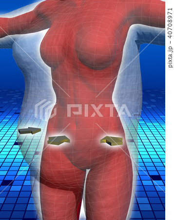 CG　イラスト　ダイエットイメージ　女性 40708971