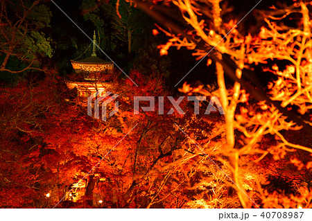 永観堂 永観堂 40708987