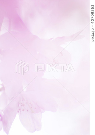 桜 40709263