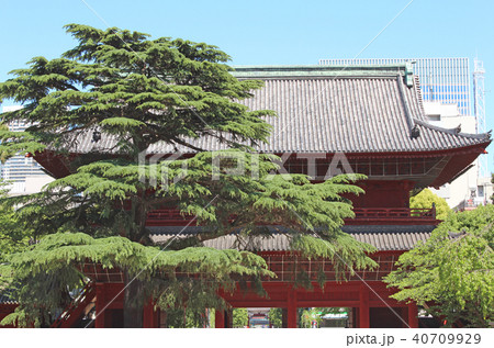 増上寺　三解脱門（三門） 40709929