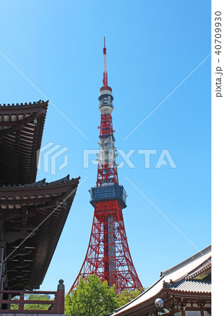 増上寺　東京タワー 40709930