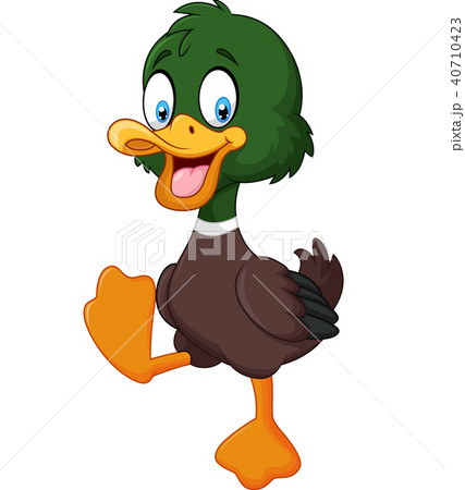 Cute Baby Duck Isolated On White Background のイラスト素材