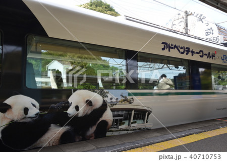 くろしお～パンダ号～ 40710753
