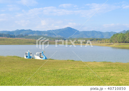 meadow grass with river and mountain meadow grass with river and mountain 40710850