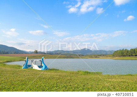 meadow grass with river and mountain 40710851