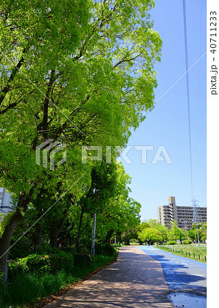 新緑の遊歩道 40711233