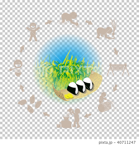 米飯糰和米生產的例證 米飯糰和米生產的例證 40711247