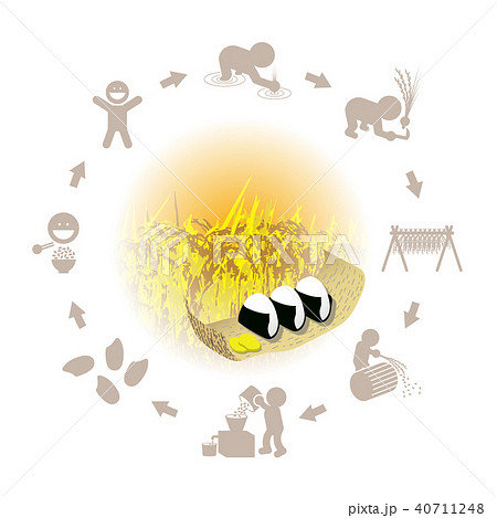 おにぎりとお米の生産のイラスト おにぎりとお米の生産のイラスト 40711248