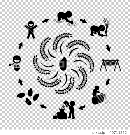 お米の生産のイラスト 40711252