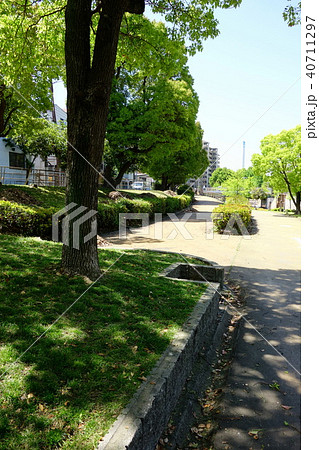 新緑の大野川緑陰道路 新緑の大野川緑陰道路 40711297