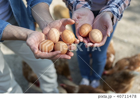 養鶏場の男女 養鶏場の男女 40711478
