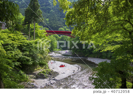 新緑の氷川渓谷 氷川小橋から昭和橋 新緑の氷川渓谷 氷川小橋から昭和橋 40712058