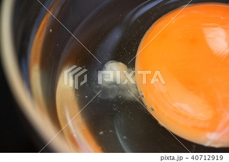 生卵のカラザの写真素材