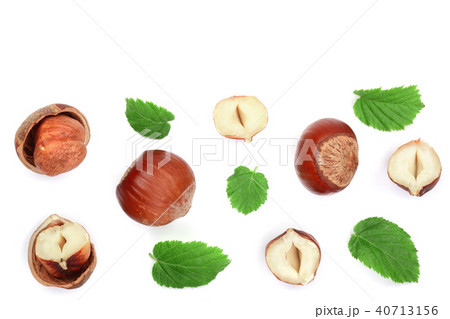 Hazelnuts with leaves with copy space for your text isolated on white background. Top view. Flat lay 40713156