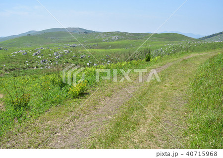 中国自然歩道 秋吉台07 40715968