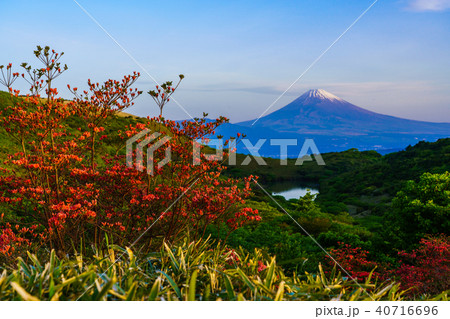 （静岡県）山ツツジ咲く、箱根玄岳から望む富士山 40716696