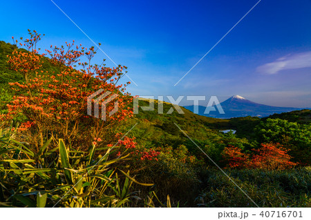 （静岡県）山ツツジ咲く、箱根玄岳から望む富士山 40716701