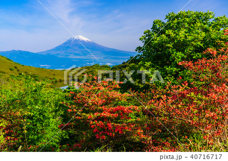（静岡県）山ツツジ咲く、箱根玄岳から望む富士山 40716717