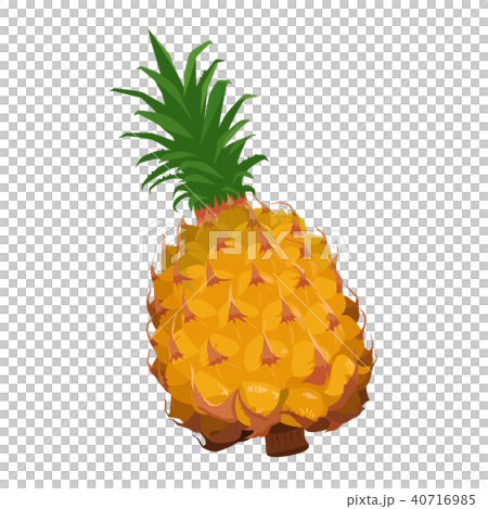 新鮮水果快餐杉木的例證 40716985