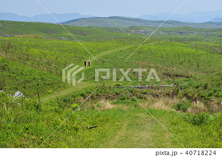 中国自然歩道 秋吉台13 中国自然歩道 秋吉台13 40718224