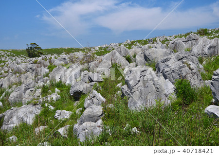 秋吉台の地獄台 40718421