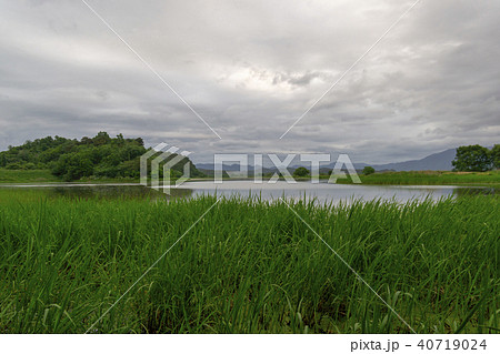 牛浦 昌寧郡 湿地 40719024