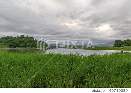 牛浦 昌寧郡 湿地 40719029