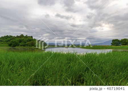 牛浦 昌寧郡 湿地 40719041