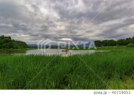 牛浦 昌寧郡 湿地 40719053