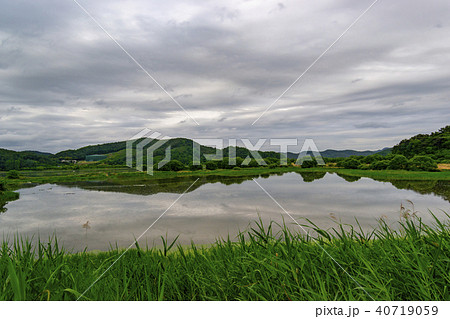 牛浦 昌寧郡 湿地 40719059
