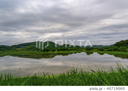 牛浦 昌寧郡 湿地 40719060