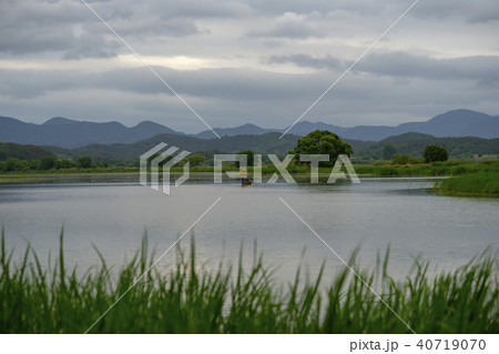 牛浦 昌寧郡 湿地 40719070