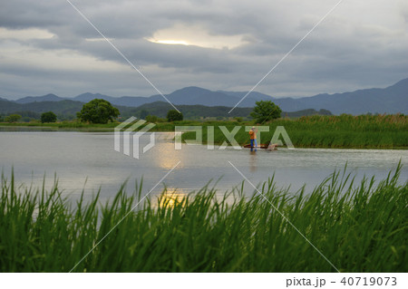 牛浦 昌寧郡 湿地 40719073